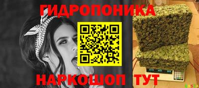 гашик Янаул