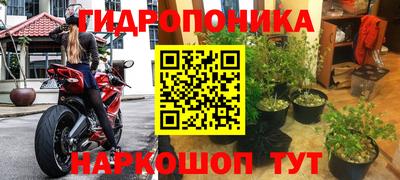 гашик Янаул