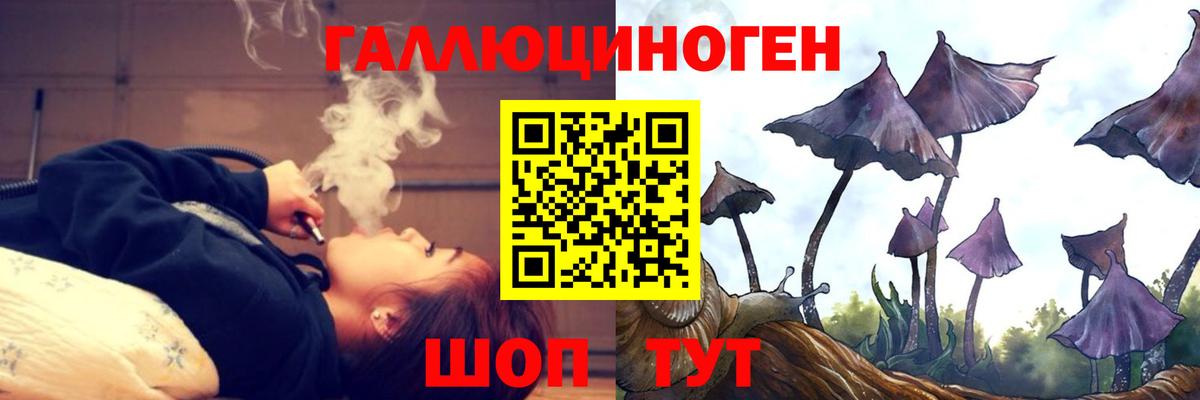Галлюциногенные грибы MAGIC MUSHROOMS Десногорск